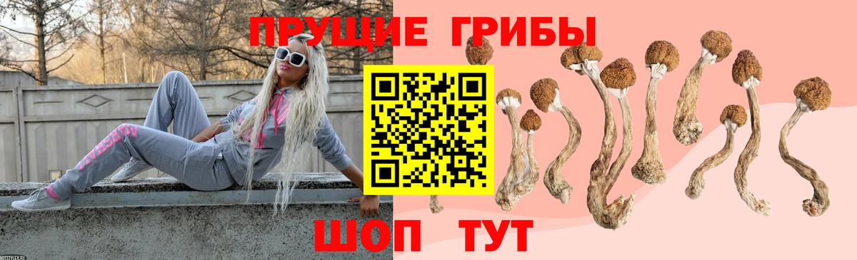 Галлюциногенные грибы MAGIC MUSHROOMS  где купить наркоту  Псилоцибиновые грибы Psilocybine cubensis  Хасавюрт  Вход с VPN 